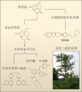 青蒿素未能主导国际类药物只因专利受制于诺华制药